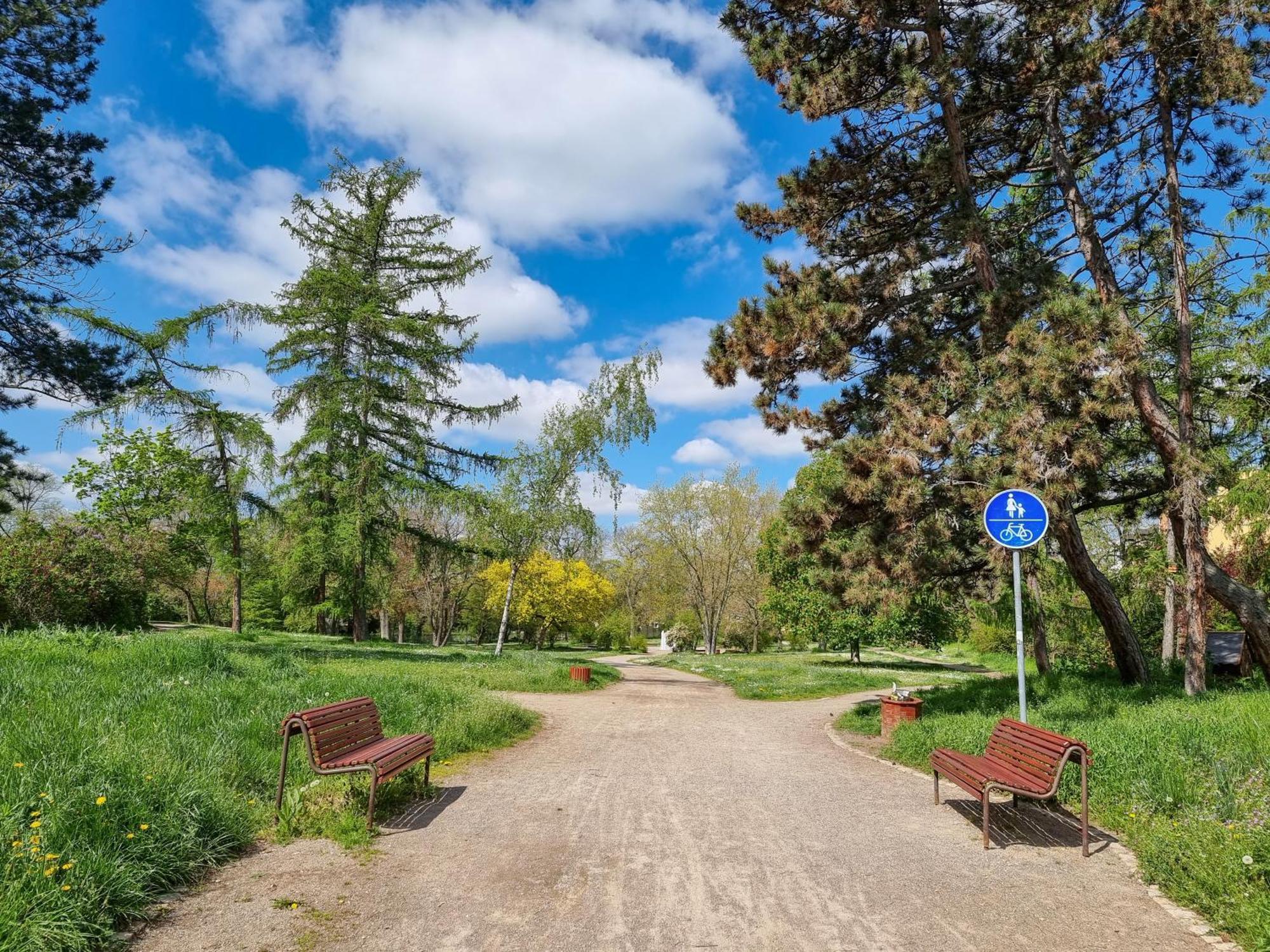 Ferienwohnung Am Stadtpark Naumburg  Kültér fotó